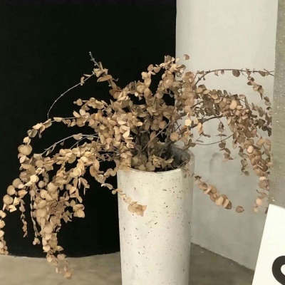 Furry绘画改稿灵感Furry群